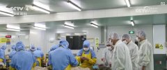 工商大学食物学院传授王蓓：每一种食物添加剂