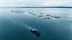 中高考等沉点场景供给食物平安快检取保障